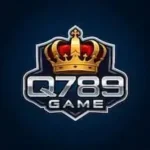 Q789 Game
