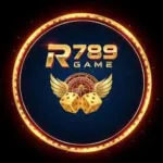 R789 Game