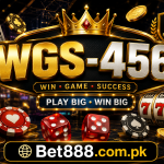 WGS456 Game